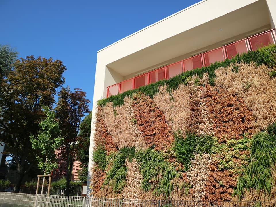 Una facciata esterna dell'edificio ricoperta di piante ricadenti
